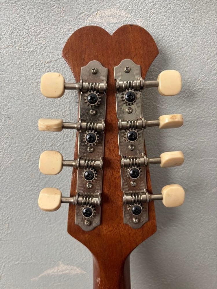 KUNISHIMA wood grain 8 string mandolin with case