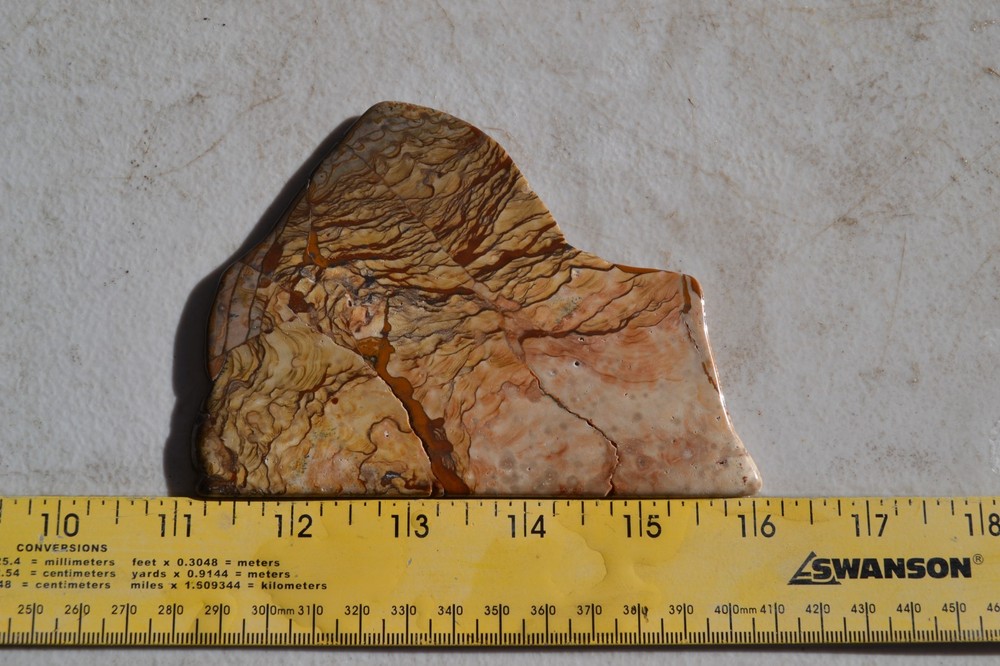 Biggs Jasper polished slab