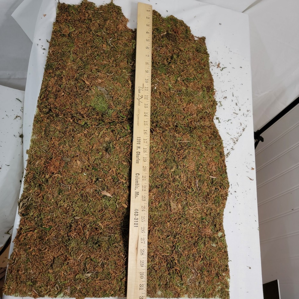 2 Mossy Grass Mats for Dept 56 Halloween Display Pre Owned
