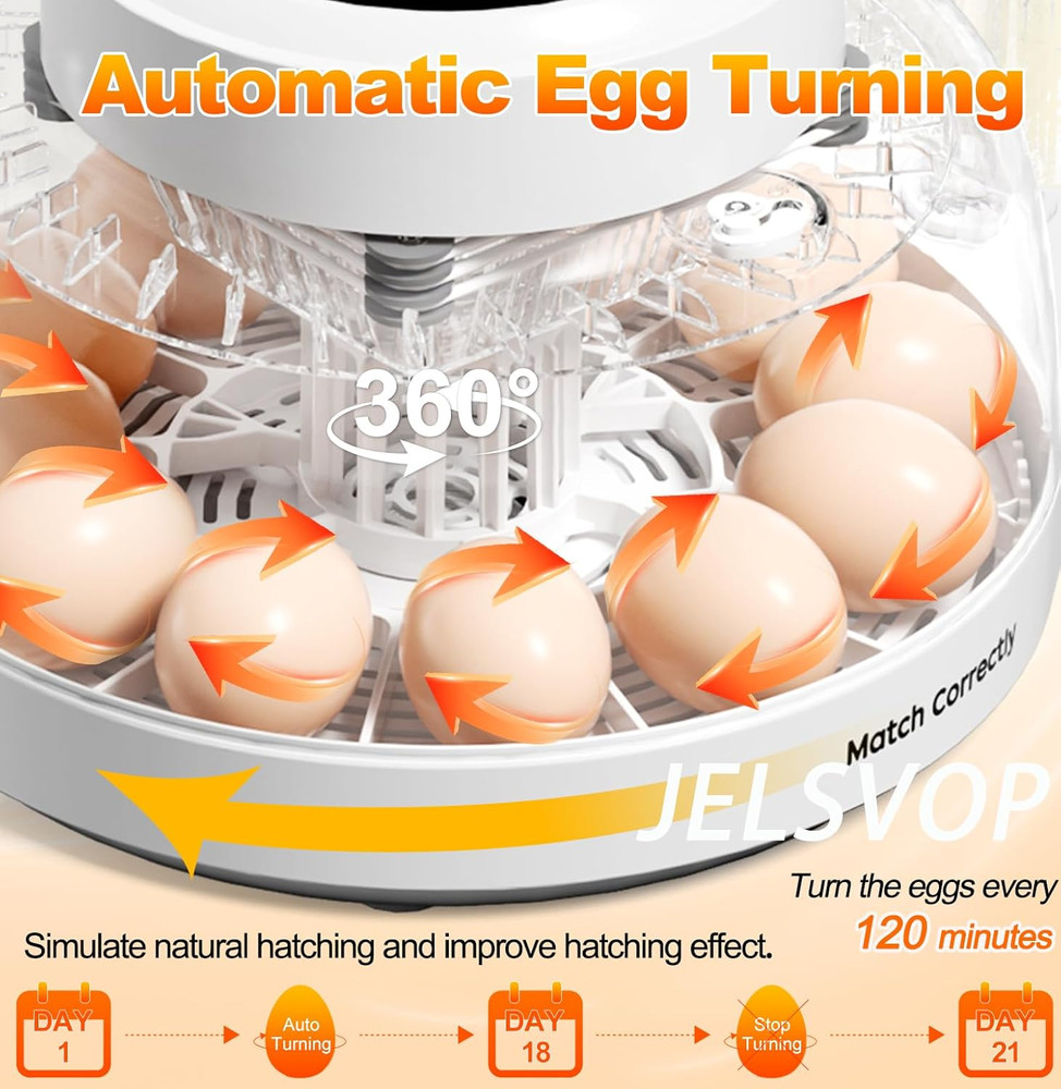 Upgraded Incubators for Hatching Eggs, 12 Egg Incubator with Automatic Egg Turni