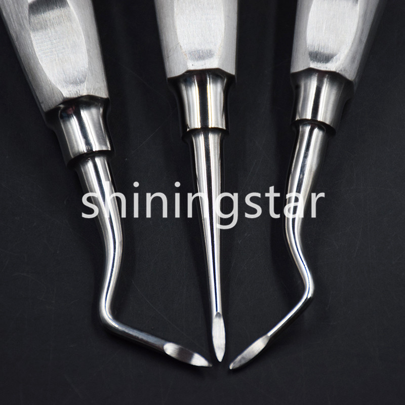 6 Pcs Dental Apical/Apex Elevator Extraction Root Elevator Left/Right/Straight