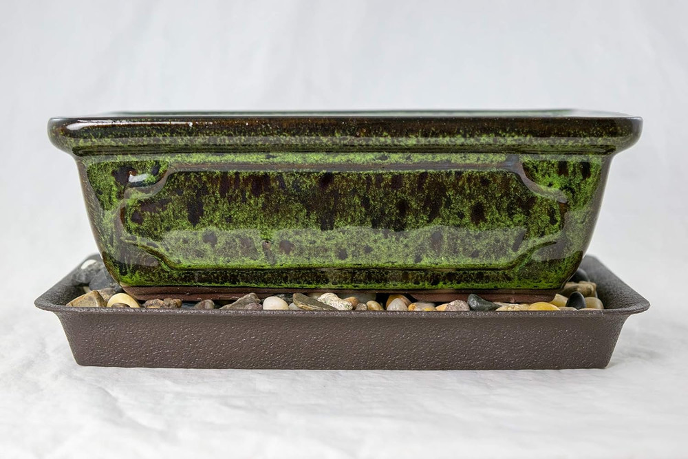 8" Rectangular Moss Green Glazed Bonsai Pot, Cactus & Succulent Planter + Tray +