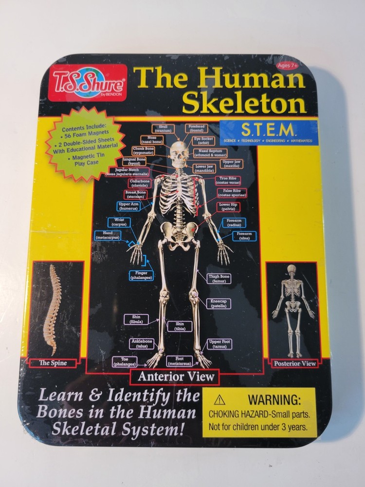 📀 The Human Skeleton- Learn & Identify NEW