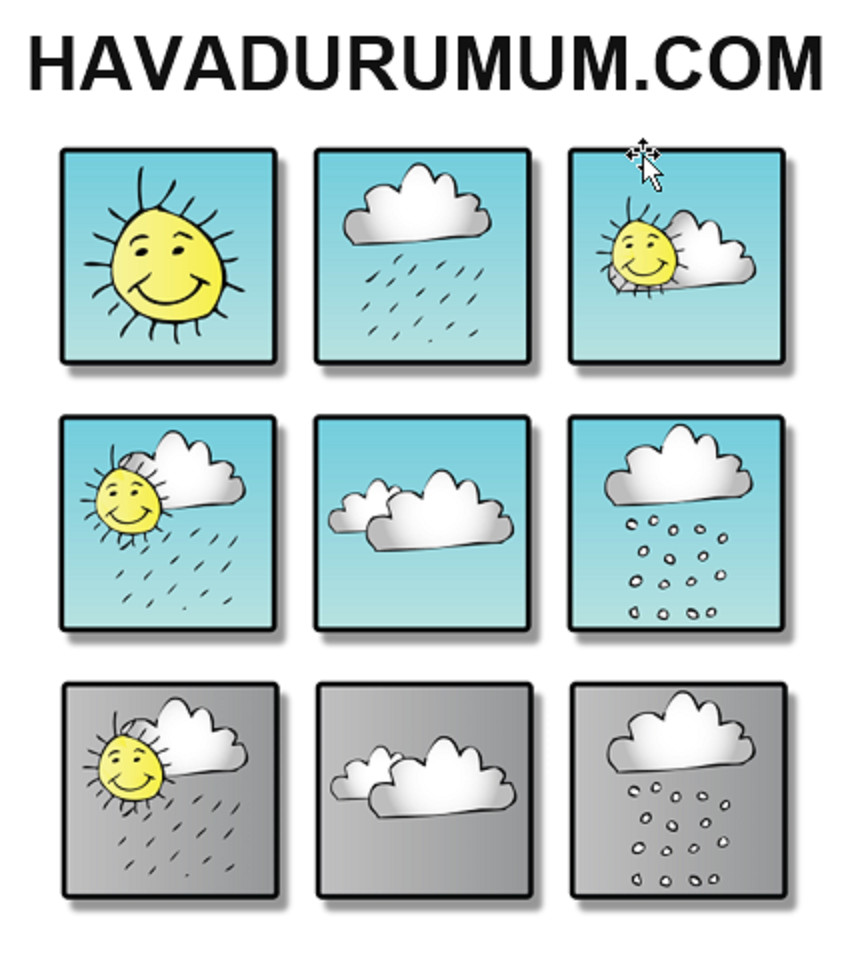 HAVA DURUMUM.com Domain name, 2009 Birth Year