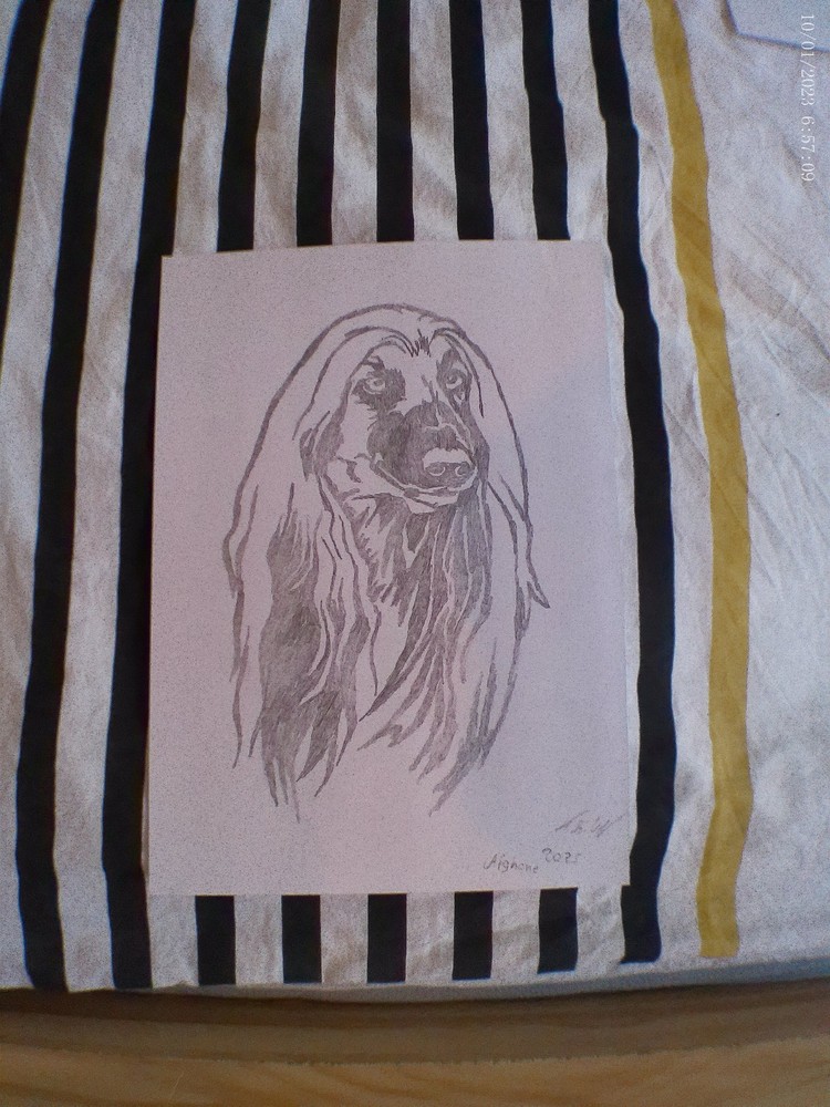 Afghan pencil drawing, unique