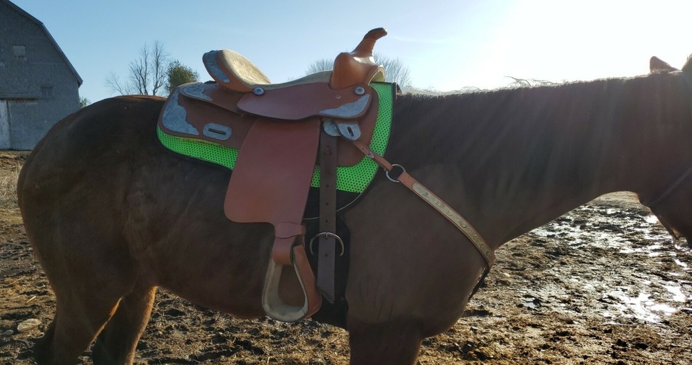 16 inch Equitation Saddle & Breast Plate