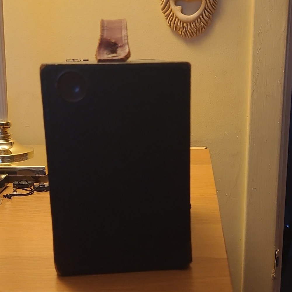 Vintage Black Box Camera with Leather Handle