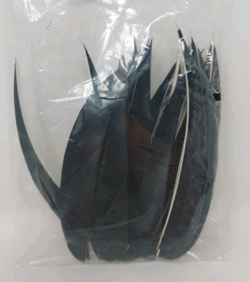 22 Count Archery Arrow Feathers 5" Right Wing: Black