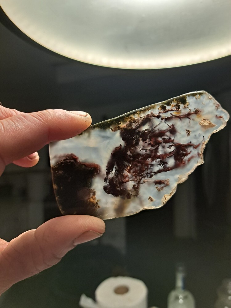 Moss agate Maury Mountain