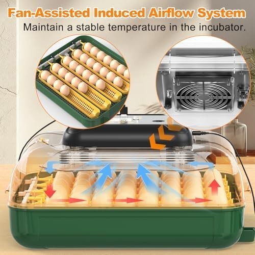 30 Egg Incubator with Humidity Display, Egg Candler, Automatic Egg Turner,