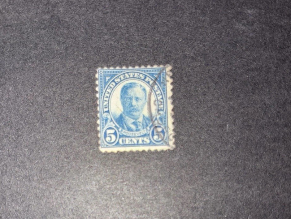 US stamp  Roosevelt 5 cent Blue 1923