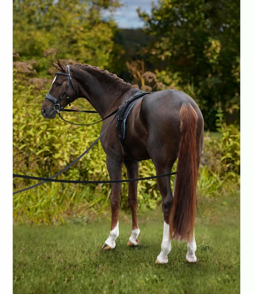 LONG TRAINING REINS - LONG TRAINING REINS