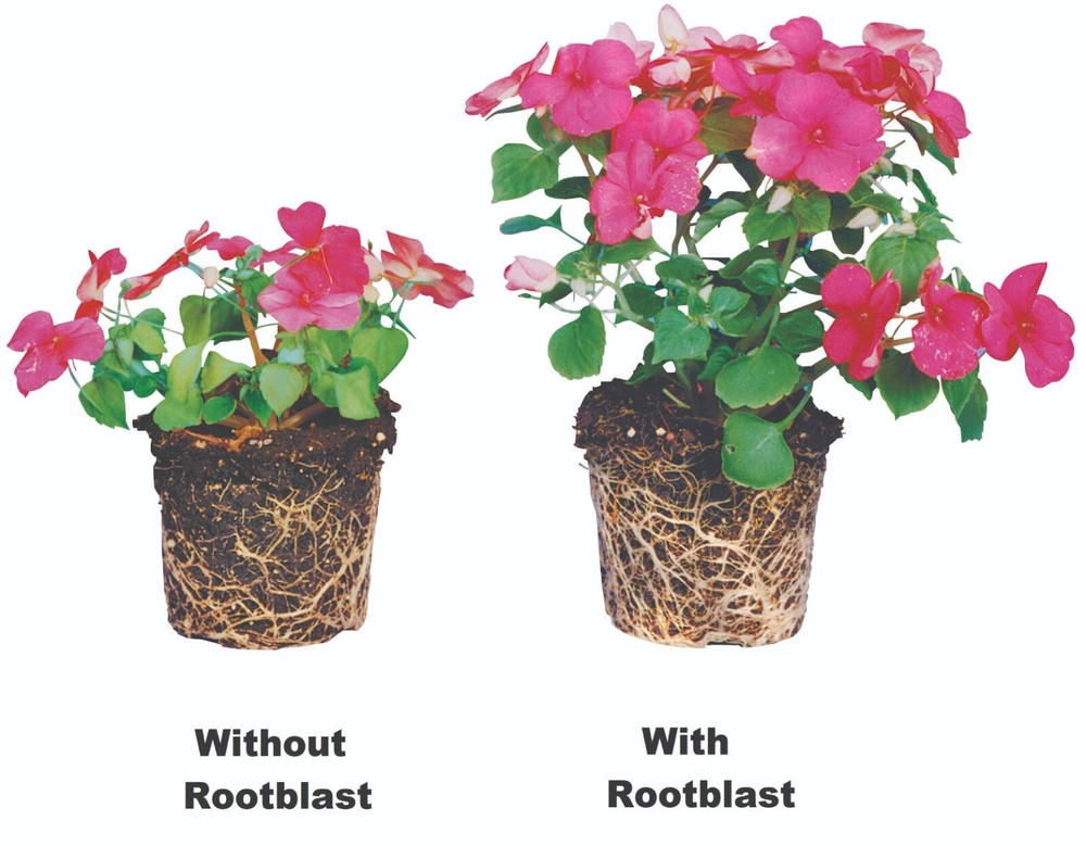 Rootblast - Plant Growth Formula 30lb Bucket