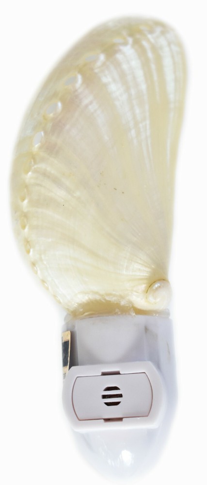 Real Seashell Night Light Pearl Abalone Decorative Beach Decor 4"  Automatic