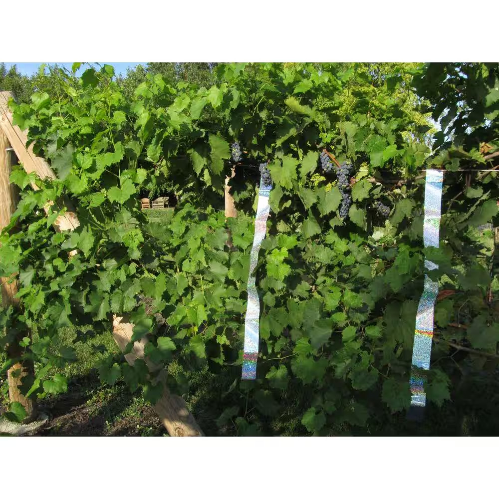 Irri-Tape Bird Repellent Ribbon