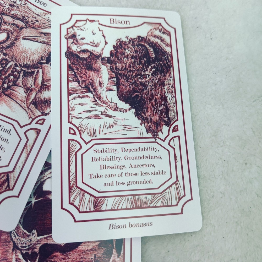 Creatures' Secrets Animal Divination Cards