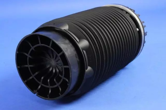 Genuine Mopar Air Suspension Spring Assembly 4877136AB