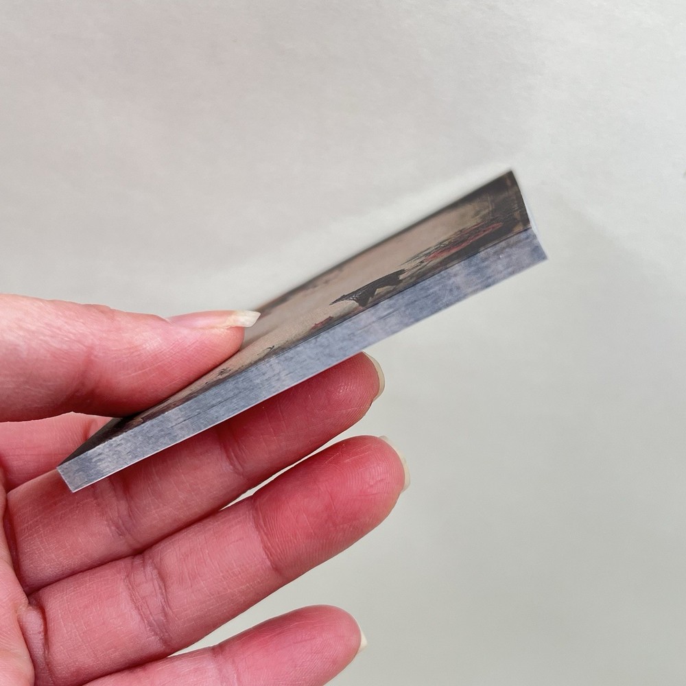 Gothic Crow Roses Sticky Note Pad Memo