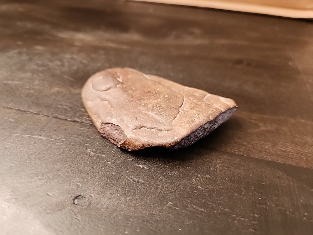 3" Natural Fossil