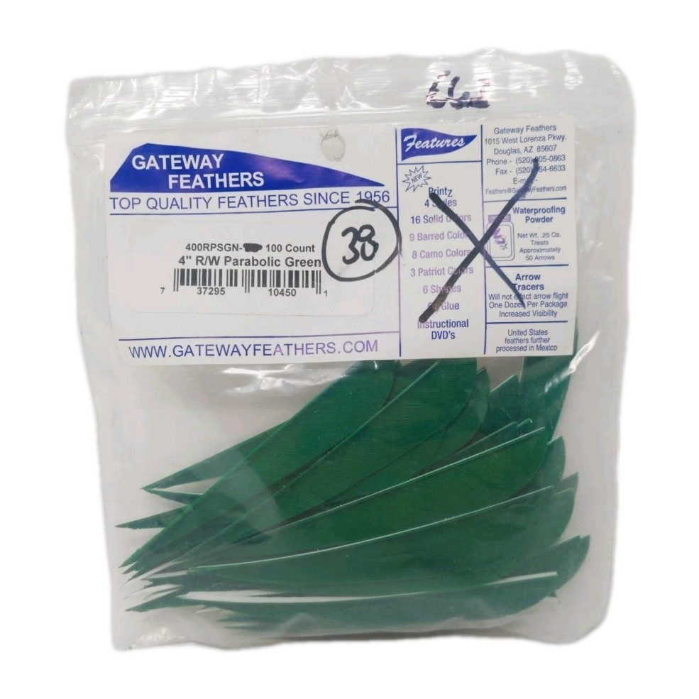 38 Count Gateway Feathers 4" Right Wing: Parabolic Forest Green
