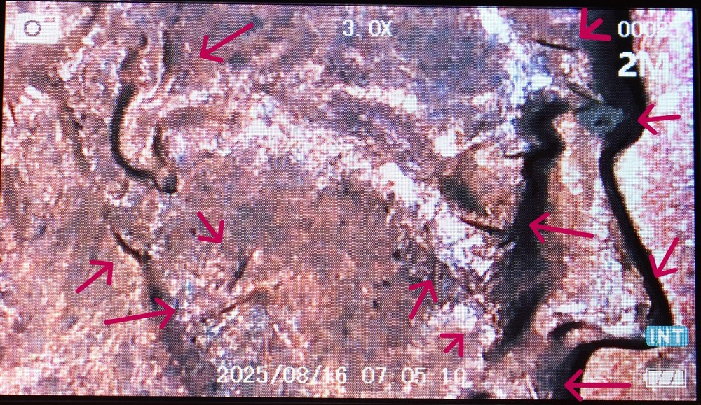 1960 D Lincoln Cent Penny MS Red Rainbow Multiple Error Die Cracks Coin