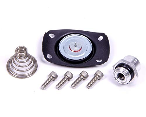 13005 Regulator Service Kit, Carbureted