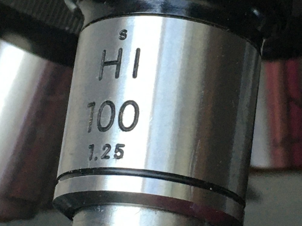 Stereo Nikon microscope