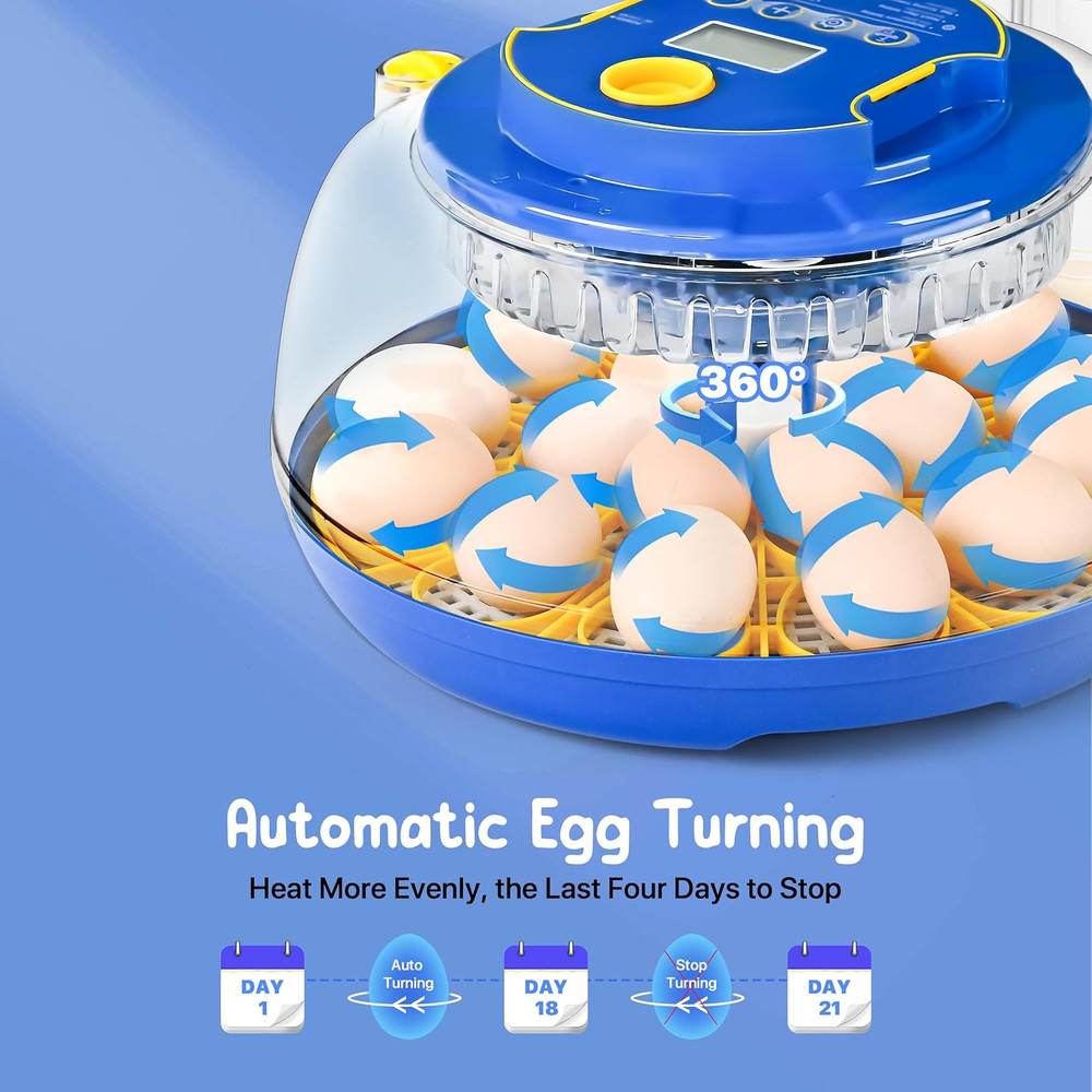 18-36 Eggs Incubators for Hatching Eggs with Automatic Egg Turning and Humidity