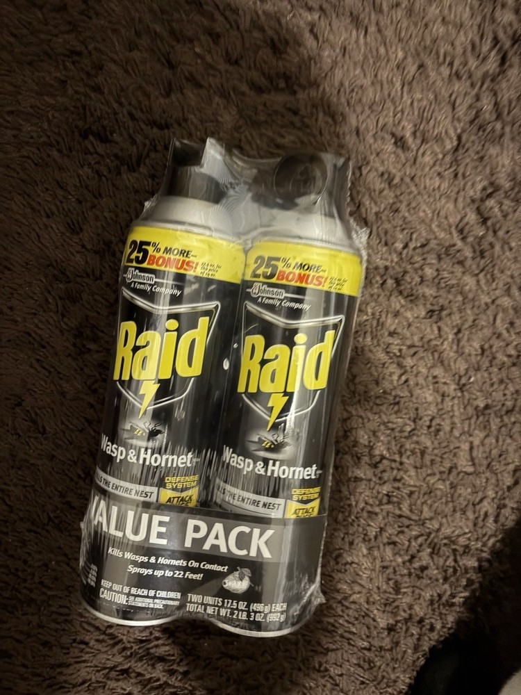 Raid Wasp & Hornet Killer Spray, Bug Killer Kills best and fast 2025