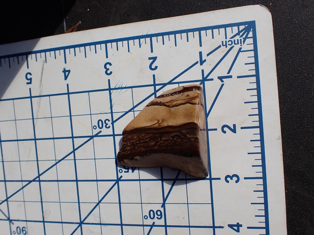 POLISHED BIGGS JASPER 38.5g