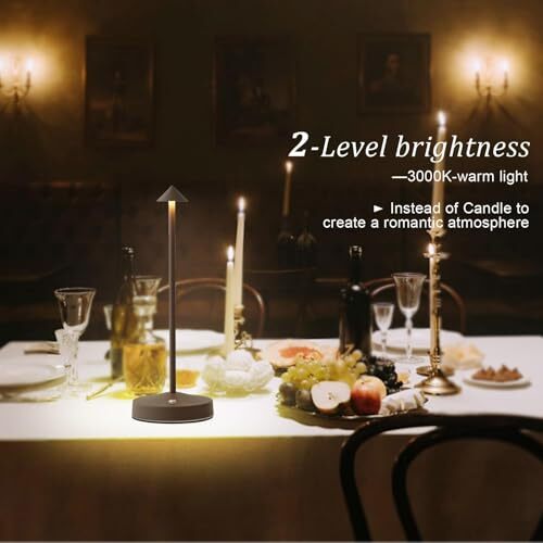 Rechargeable Cordless Table Lamps,Modern Battery Operated Table Rust