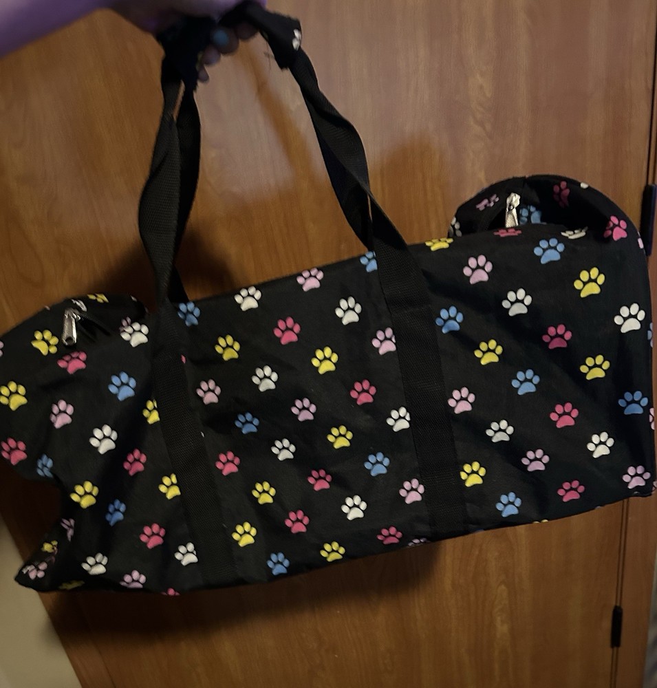 Carrier Tote Handbag
