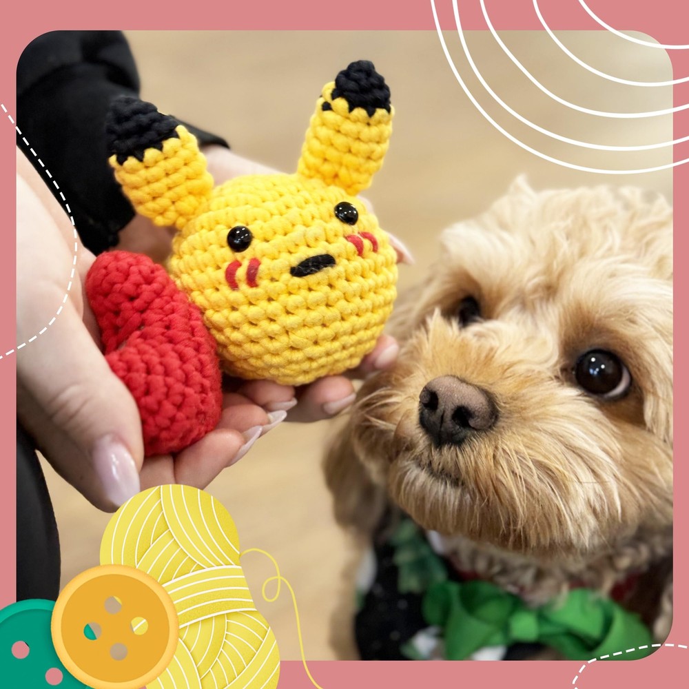 Pikachu & Heart Crochet Kit – Yarn, Hook, Patterns, Video, & More Included
