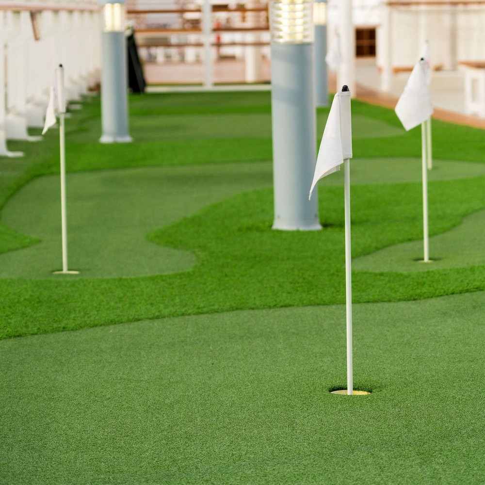 65x5ft Artifical Grass Mat Turf