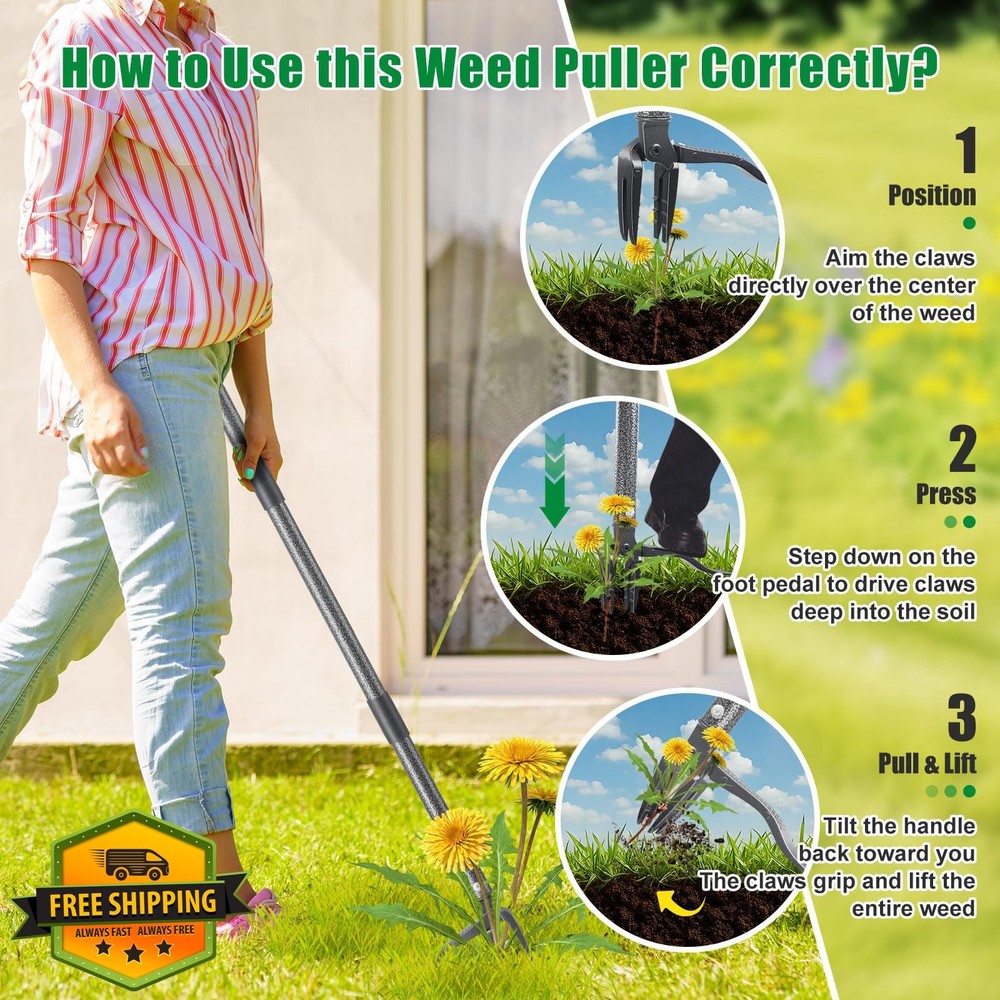 Lilyvane Weed Puller Tool, Stand Up, 60" Handle, 4 Claw Head