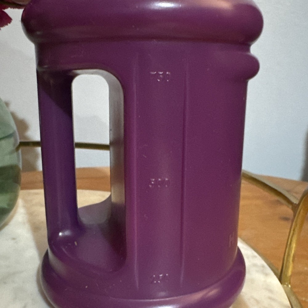 Hydrojug 32oz Purple NWT Mini Size Handle