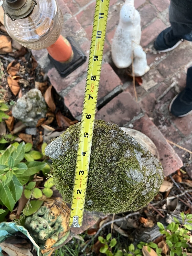 Vintage Solid Cement 17” Owl With Real Moss Growing On It