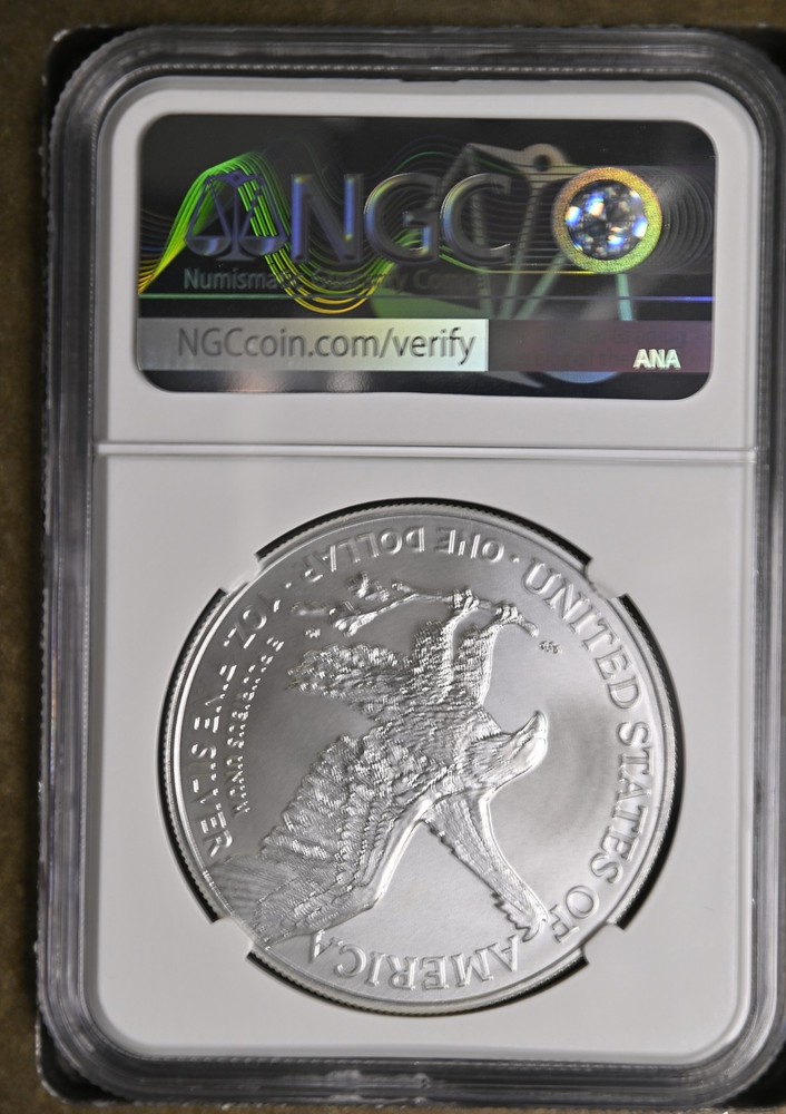 2022 Bullion Silver Eagles NGC MS-70