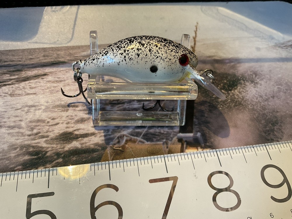 Rapala DT4 2" 5/16 Oz Custom Painted