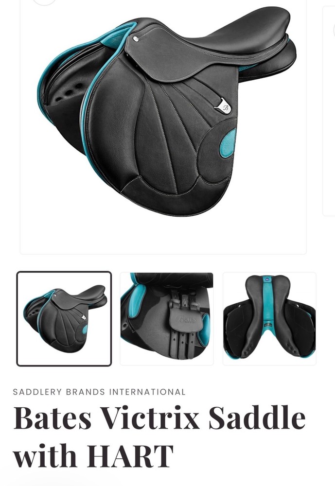bates teal victrix saddle 17.5” luxe