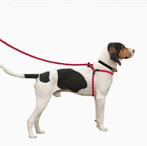 Harness Lead, Escape Resistant Leash, Reduces Pull, Dog Harness
