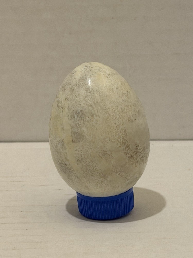 Stone White With Gray Marbling Egg