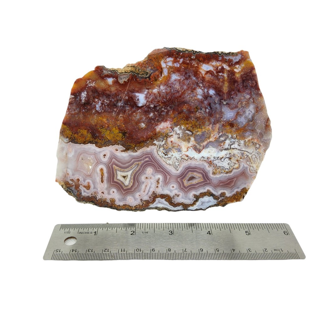 Moroccan Agate, slab, cabbing rough, lapidary, #R-6391