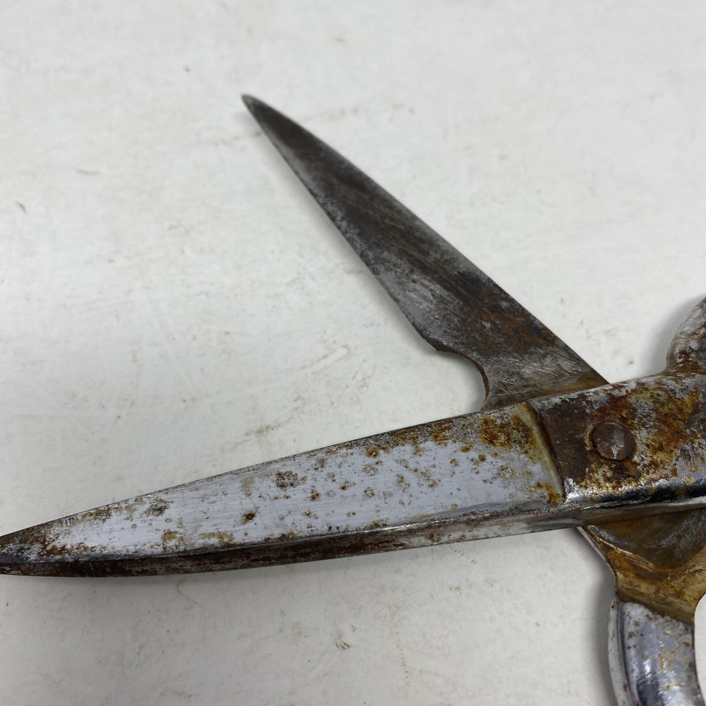 Kitchen Scissors, 8”, Chrome Marks 201C, Italy