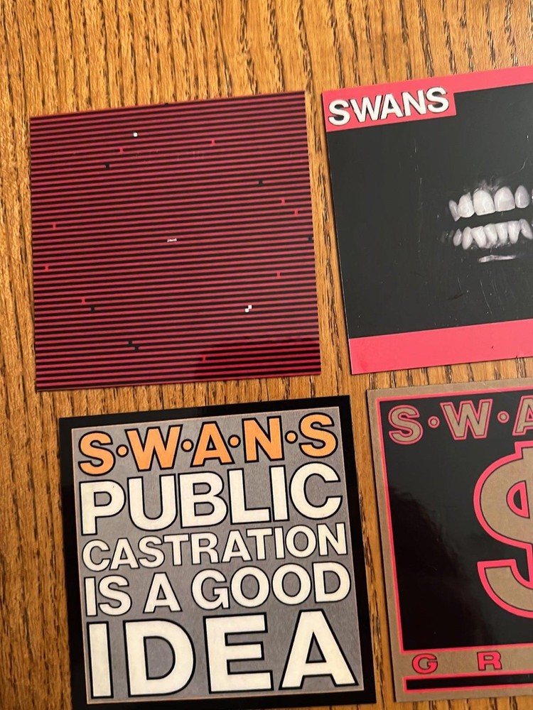 Swans fridge magnets