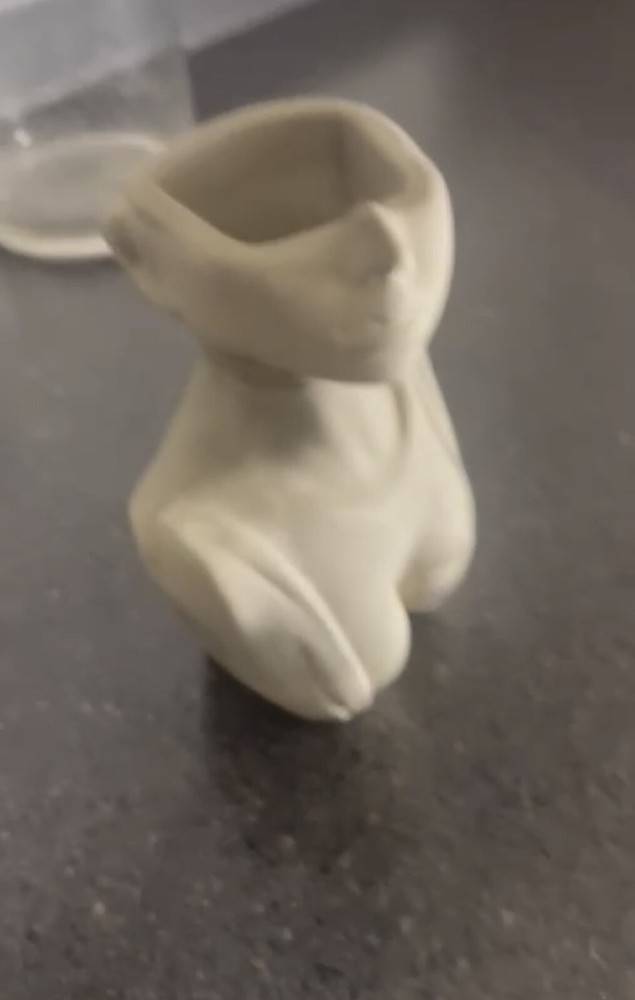 Vase planter Pot