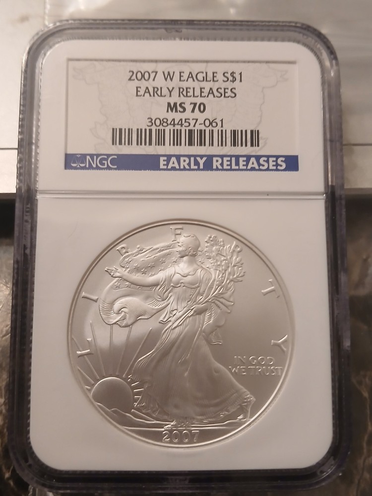 2007 W 1 oz American Silver Eagle Coin MS-70 Er Burnished Silver Eagle NGC