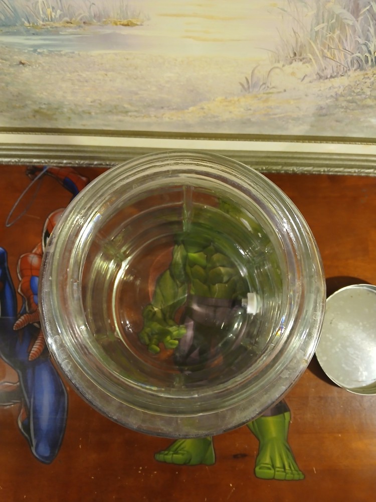Large Glass Drink Dispenser