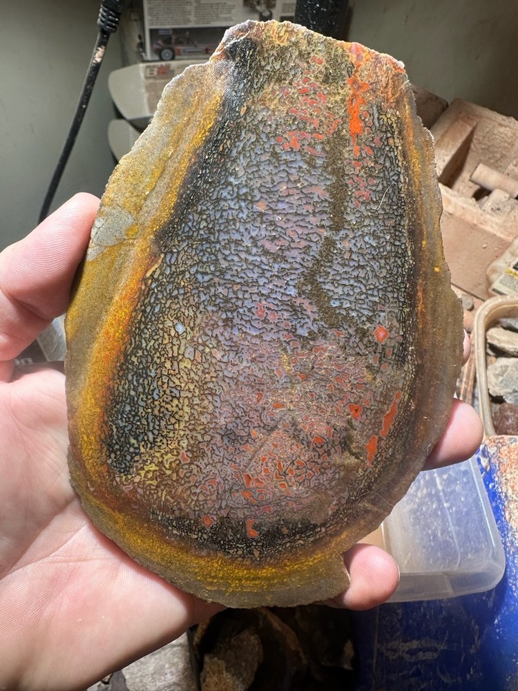 Dinosaur bone rough **hxtled high grade slab.