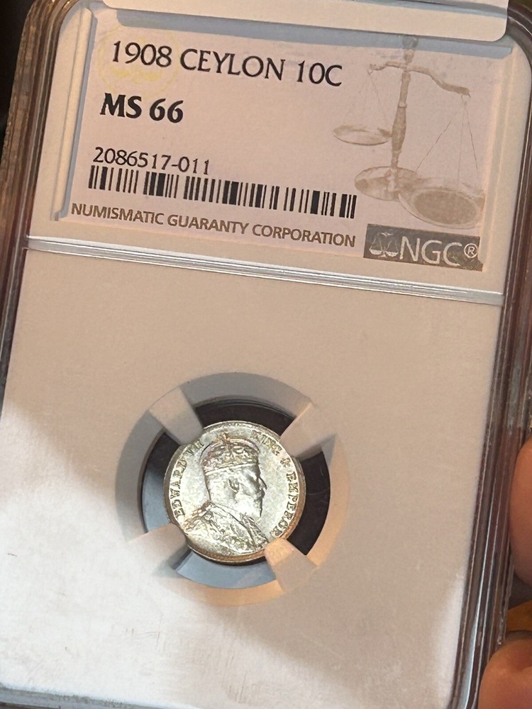 Ceylon 10 Cents 1908 MS66 Top Pop
